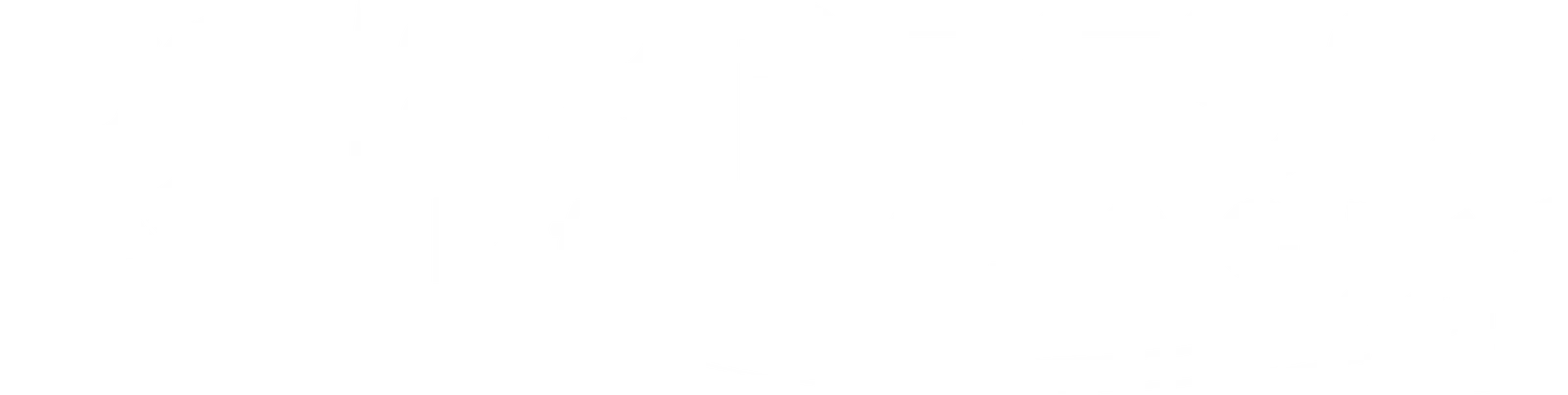 logo white